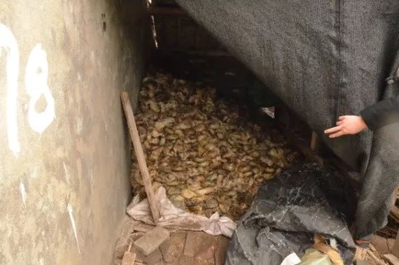 严厉打击食药环假领域违法犯罪,公安部打击食药环犯罪工作通报