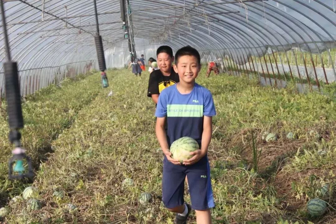 南京儿童奔跑吧夏令营,奔跑吧少年夏令营报名南京