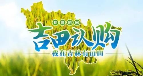 好大米怎么卖,好米怎么蒸粒粒分明