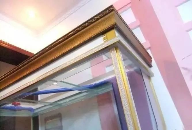 1.5米生态缸的用料及造景,1.2米的缸适合做什么缸