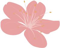 养生堂今日重播,北京卫视养生堂四步养心护心法