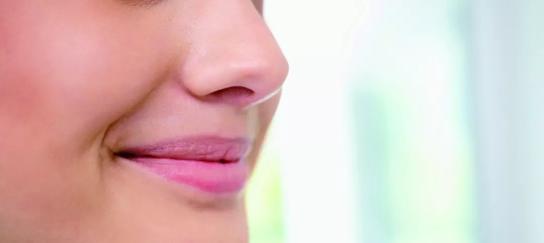 以人类身份生活的动物们,以人类血肉为食的生物