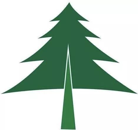 Delicate丨中国女性每晚都要用掉一瓶原液？日本女性惊呆了