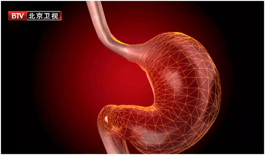 肚子老是在咕咕叫是什么原因,肚子老是咕咕叫是什么原因造成的