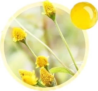 Top10|突袭妈妈们的化妆台，我居然被种草了！