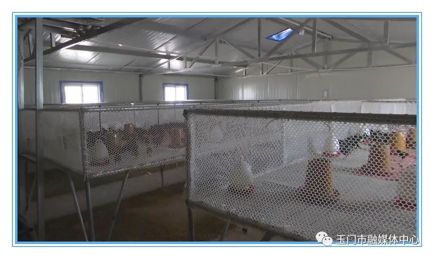 澹附70骞村鏂楁柊鏃朵唬瀹佸鍥哄師,澹附70骞村鏂楁柊鏃朵唬鍙戝睍缁艰堪