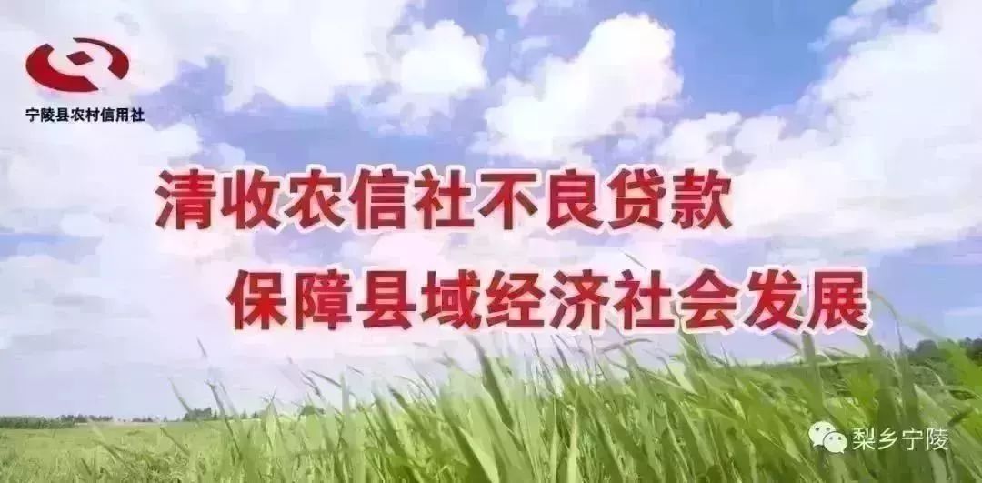 召开民兵整组工作动员部署会新闻,长武县扎实开展基干民兵整组点验