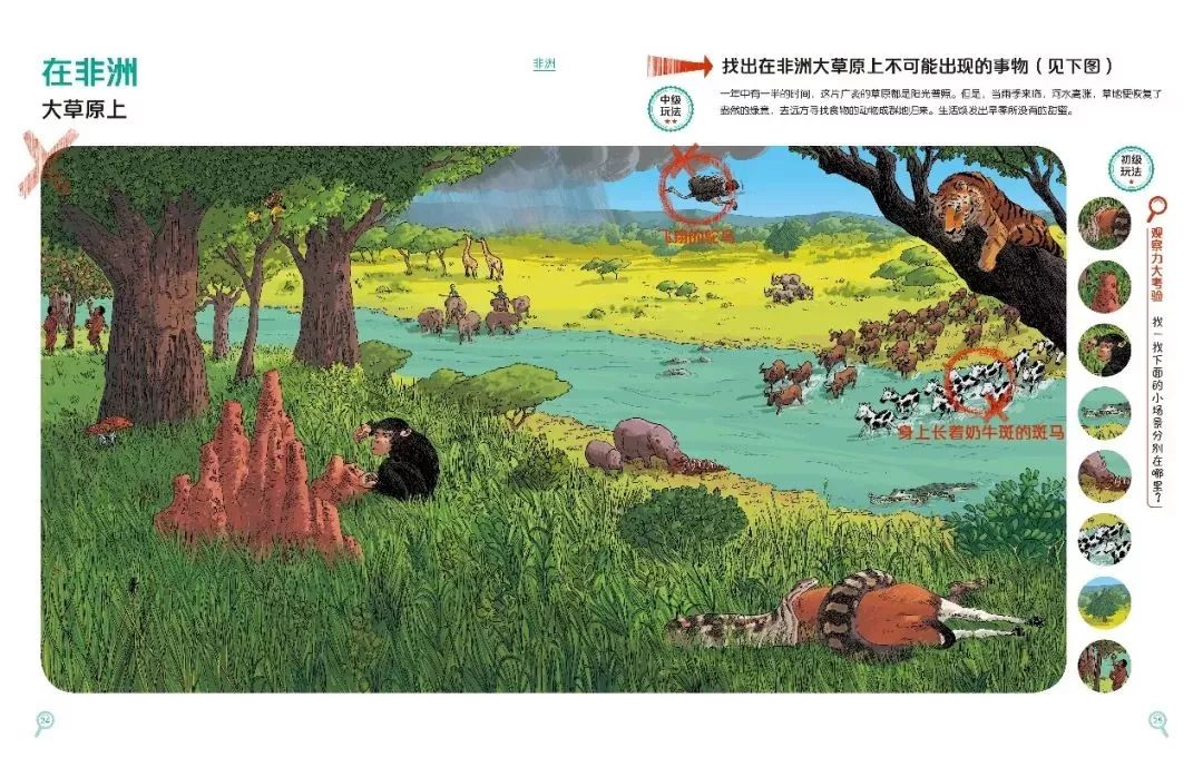 哈佛思维课全集书籍,2-3岁儿童全脑思维拓展训练书