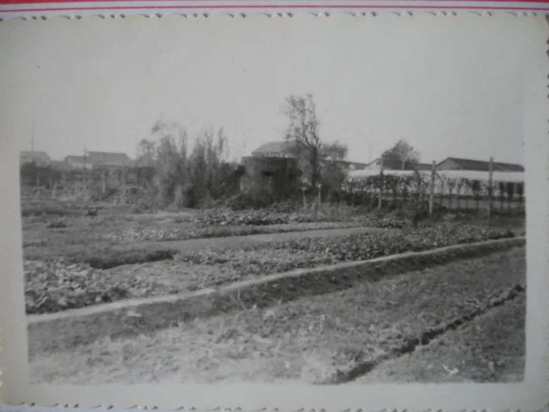 月浦解放前,当年上海解放