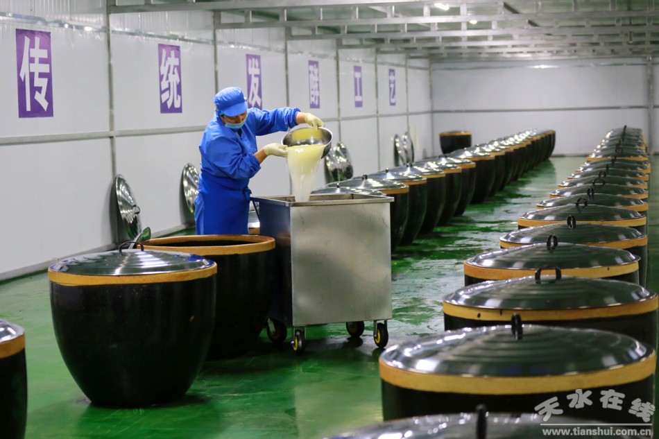 甘肃武山苦苣酸菜浆水出售,武山酸菜销售