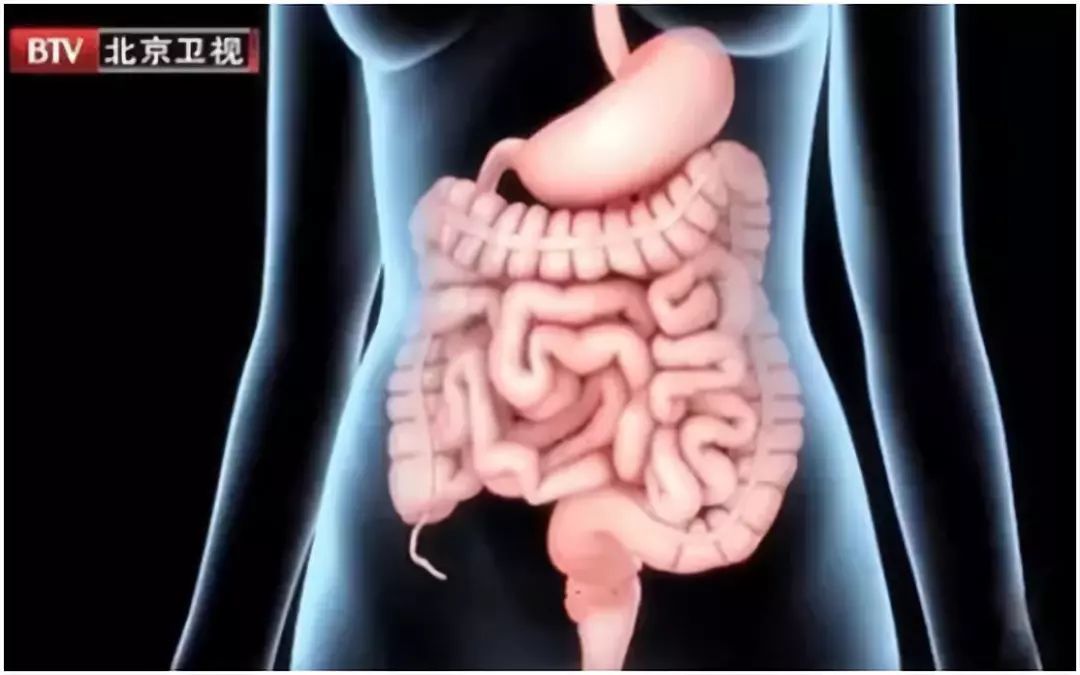 肚子老是在咕咕叫是什么原因,肚子老是咕咕叫是什么原因造成的