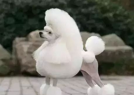 朋友圈设成三天可见代表着什么,有时候把朋友圈设成三天可见