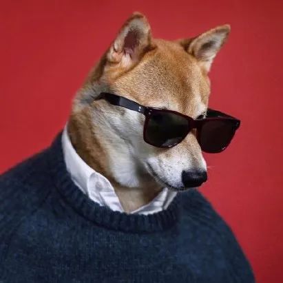 把我设置成不可见了是什么心态,为什么有人把朋友圈设成三天可见