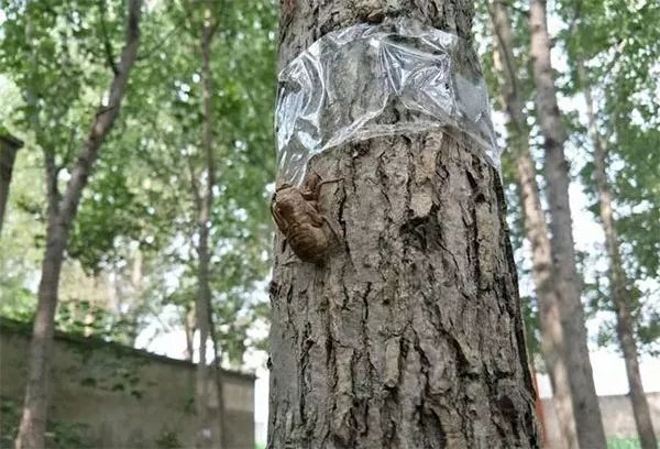 最赚钱的淡水养殖项目,海上养殖什么项目赚钱