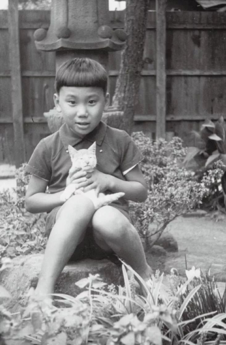 村上春树的父亲是侵华日军吗,村上春树有没有侵华历史