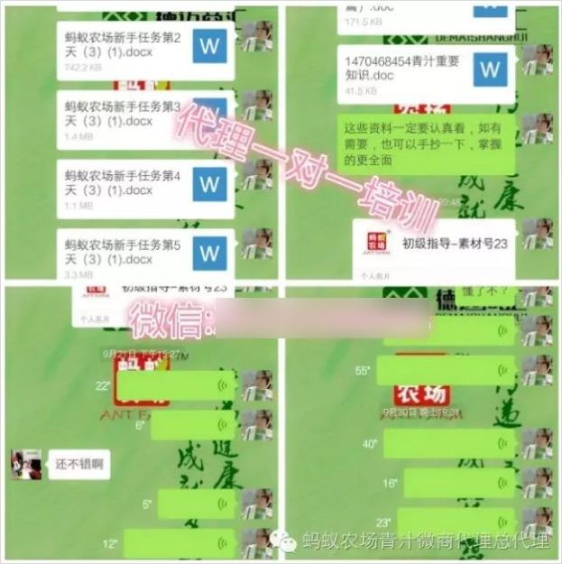 全网最火的私域流量,低成本高转化私域流量就火了