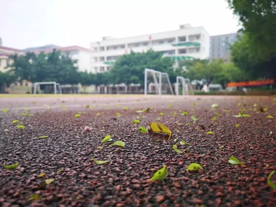 贵港这些高中，哪所是你心目中的最美？一起为你的母校打Call