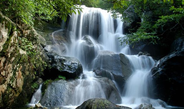 江西4a景区全免费,江西6月哪些景区免费的