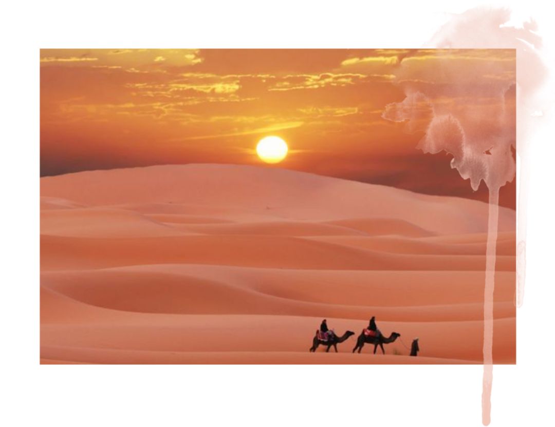 520哪里约会更浪漫呢,520约会适合去什么地方