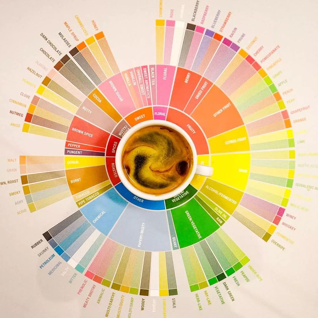 系统性的咖啡品尝鉴定方式——CoE杯测表格应该怎么打分？