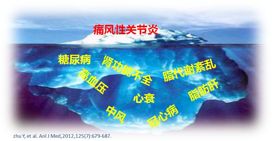 心衰肾衰伴高尿酸怎么治疗,心衰引起的肌酐和尿酸高怎么办