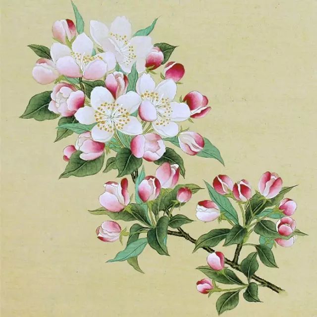 礼仪的各种用语列表,礼仪用语的正确说法