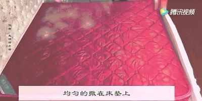 一招教你杀菌除螨,不用水洗怎样灭螨虫