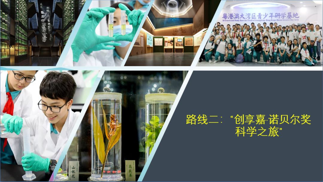 2023年创新科普嘉年华六大展区,广东创新科技职业学院嘉年华