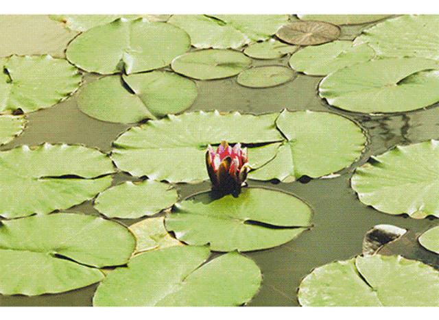 浮生御度假村温泉票,浮生御套票