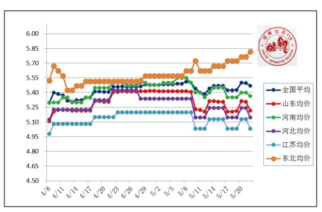 毛鸡最重多少斤,黑毛鸡最大的几斤