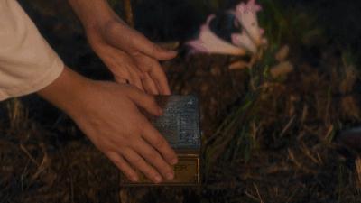 豆瓣9.8,1个寡妇带4个熊孩子,为啥都过得比我爽?