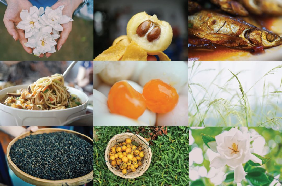 五月种草季,五月种草