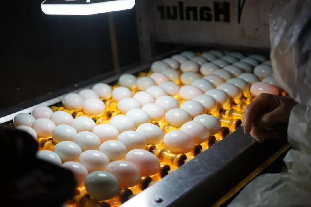 五月种草长沙,五月种草