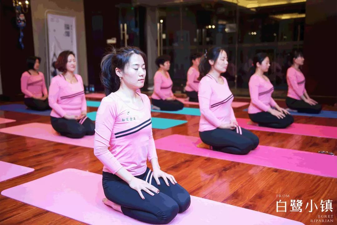 白鹭小镇夏日系列,白鹭小镇活动