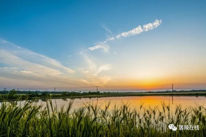 经典美文母亲,美文欣赏我的母亲