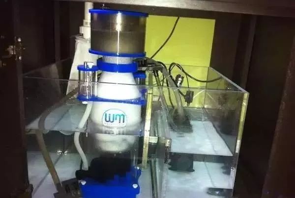 海缸害怕阳光照射吗,海缸如何压制褐藻