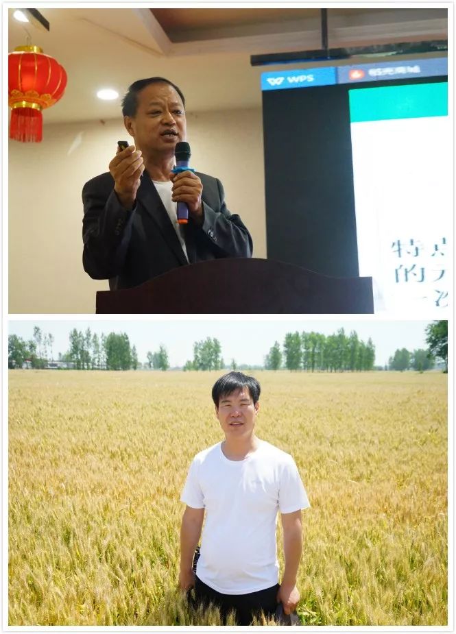 聚碳酶,聚碳补酶丰产方案