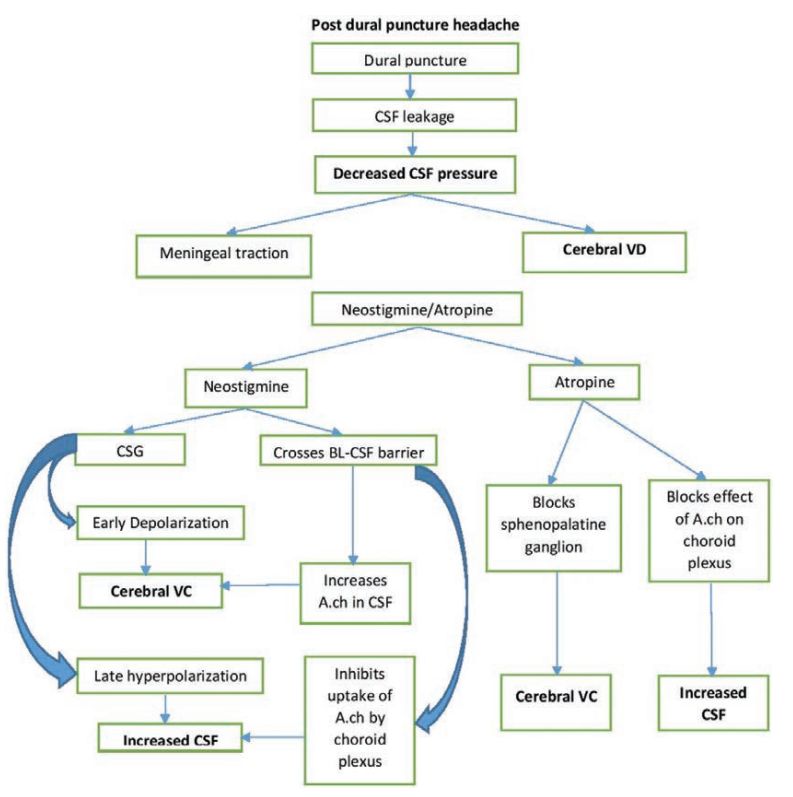 「AA」新斯的明和阿托品加用于常规治疗腰麻后头痛：一项随机对照试验