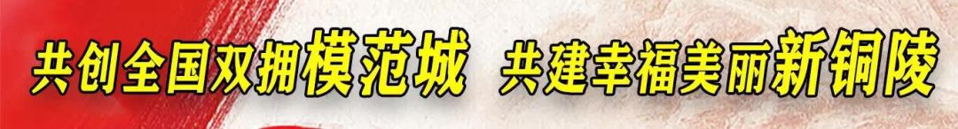 铜陵吹响重点项目“百日攻坚”冲锋号！