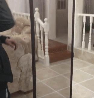 防蚊帘爆开如何处理掉,防蚊物理屏障