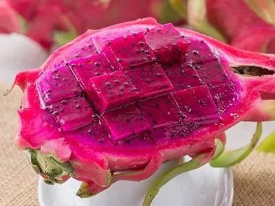 盆栽火龙果在北方冬天怎么办,北方一亩大棚火龙果需投资多少钱