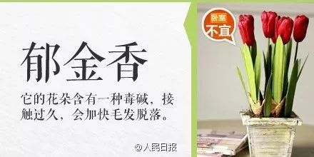 被误食的致命毒物,一碰就中毒怎么处理