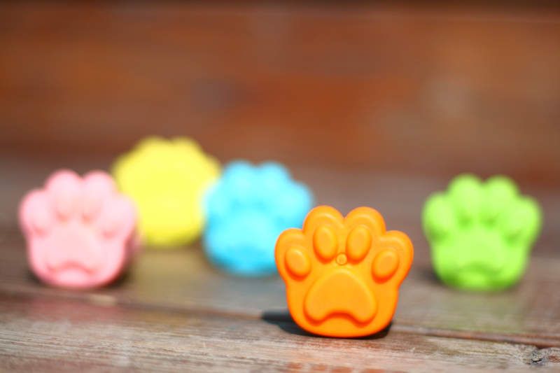 梅雨季也能好心情日疯传「猫咪掌印」伞套