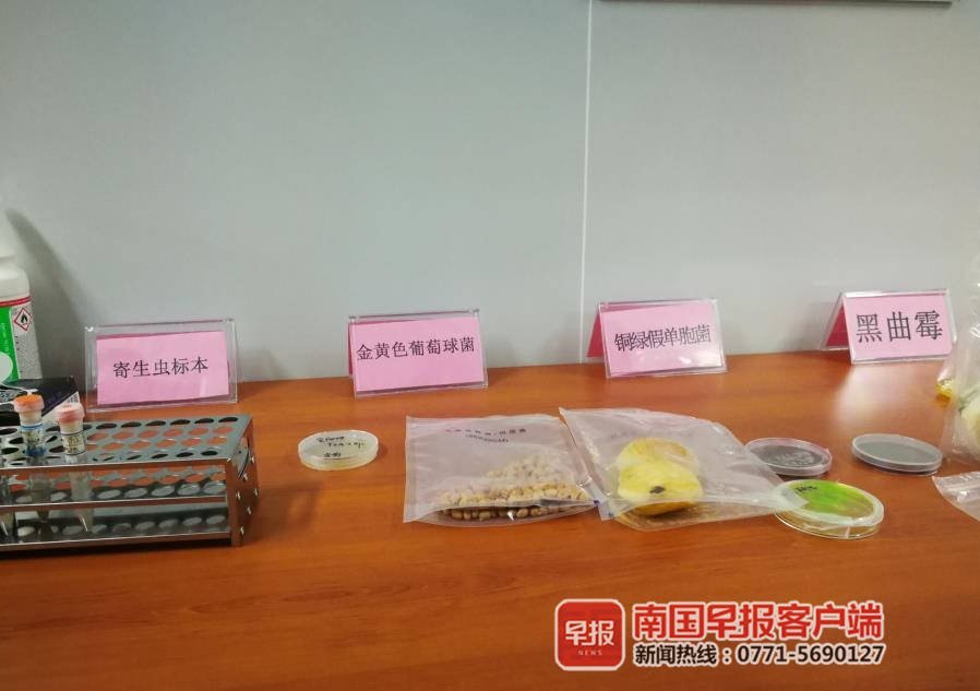 西红柿怎么辨别是不是催熟的,西红柿怎样辨别人工授粉和催熟