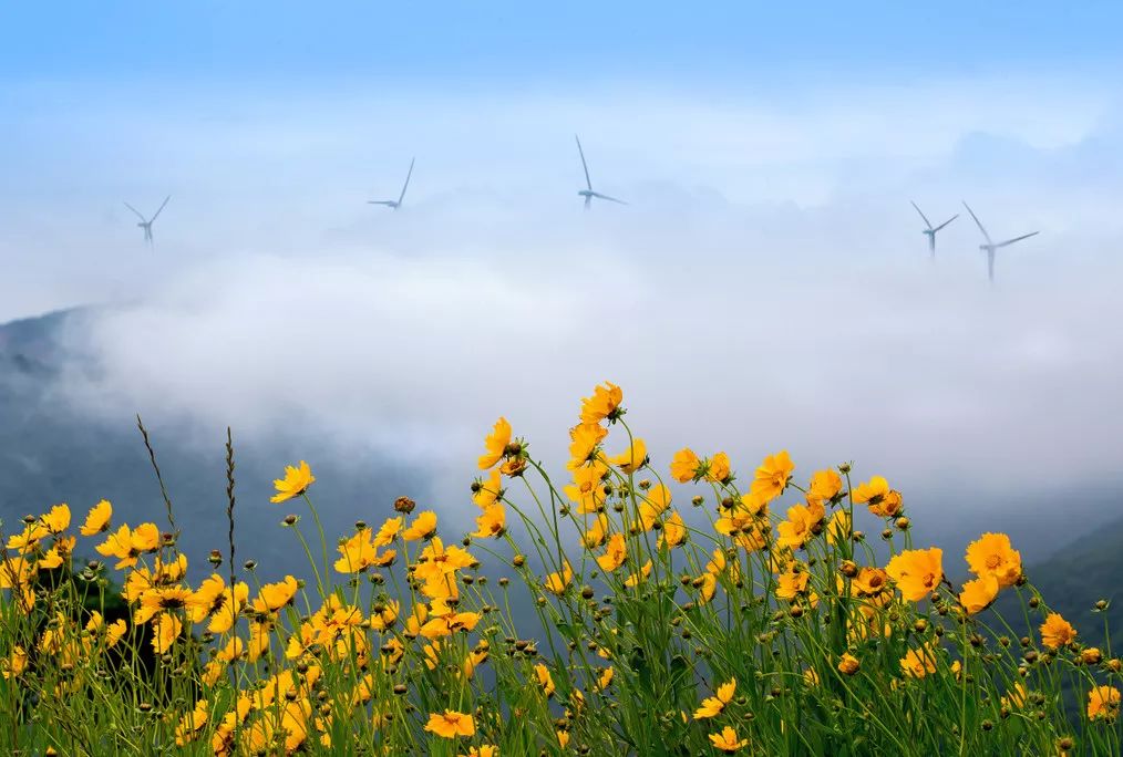 鄞州附近的旅游景点推荐,鄞州一日游必去景点