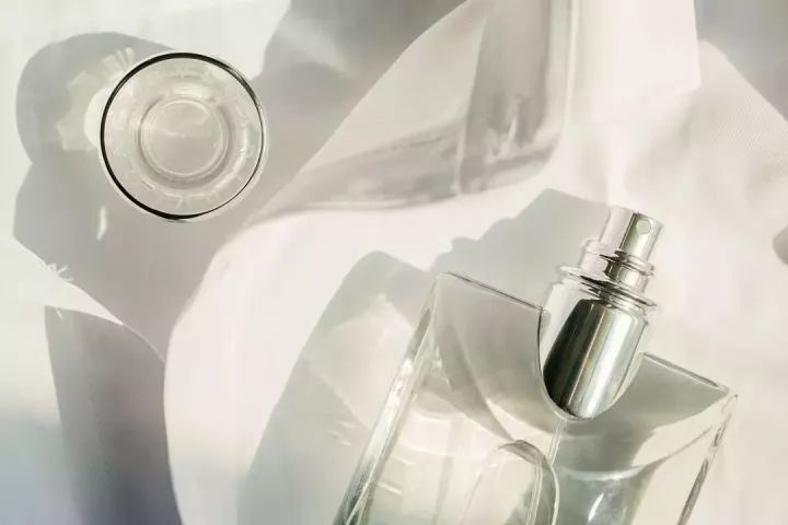 寻香|还原派VS颠覆派？诶呦~想不到这花还有两副面孔！（上）