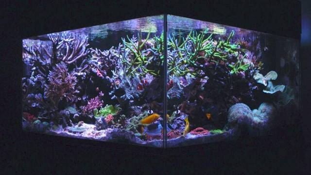 鉴定完毕！这一定是个有钱的主儿