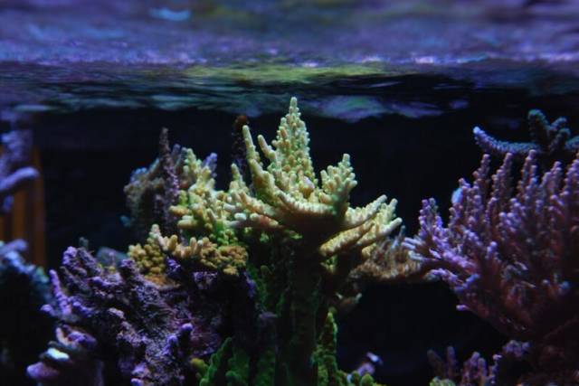 鉴定完毕就是好人吗,鉴定完毕就是亲生的没错了