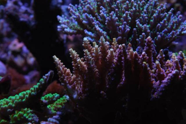 鉴定完毕就是好人吗,鉴定完毕就是亲生的没错了