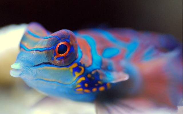 鉴定完毕！这一定是个有钱的主儿